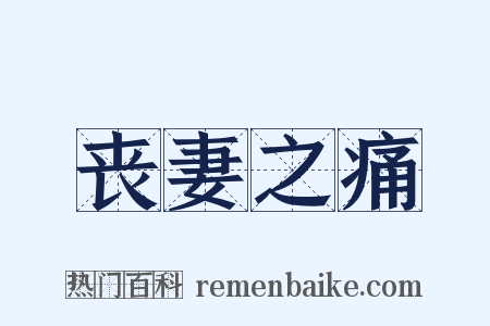 丧妻之痛是什么意思的图片